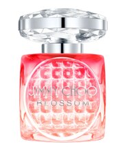 perfume jimmy choo blossom feminino eau de parfum